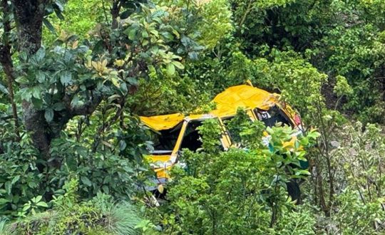 एम्बुलेन्स दुर्घटनामा परी चालकको मृत्यु