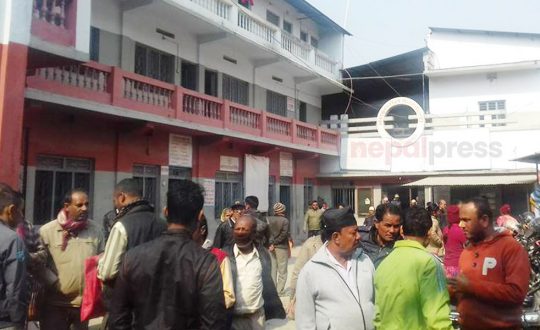 बिचौलिया गतिविधिमा संलग्न रहेको आरोपमा २९ लेखापढी व्यवसायी पक्राउ