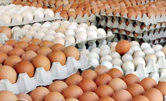 अण्डाको नयाँ बिक्री मूल्य तोकियो, आजदेखि लागु