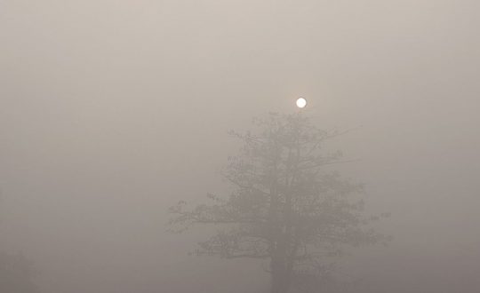 आज बिहान काठमाडौंको न्यूनतम तापक्रम २.७ डिग्री सेल्सियस