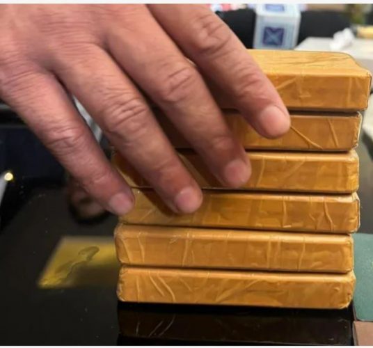 सुन तस्करी प्रकरण: महरा र भन्सारका कर्मचारीसहित २८ जनाविरूद्ध मुद्दा दायर