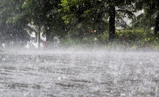 आज सातै प्रदेशमा चट्याङ्गसहित वर्षाको सम्भावना