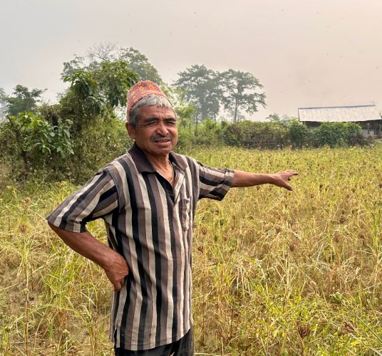 कोदोखेतीले धानेको खोरियागाउँ, प्रोत्साहन गर्ने नीतिकाे खाँचाे