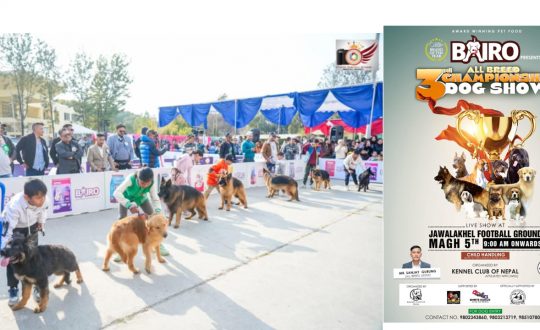 केनेल क्लबको आयोजनामा तेस्रो ‘बाइरो ब्रिड च्याम्पियनसिप डग शो’ माघ ५ मा हुने