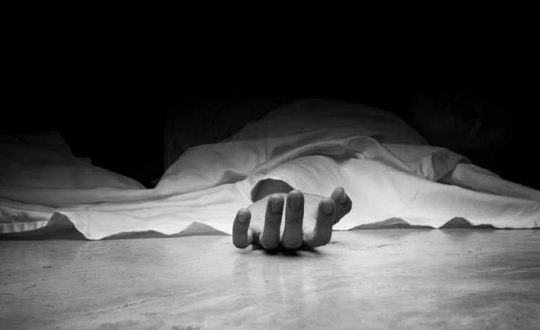 अरिङ्गालले टोकेर १ विद्यार्थीको मृत्यु, ५ घाइते