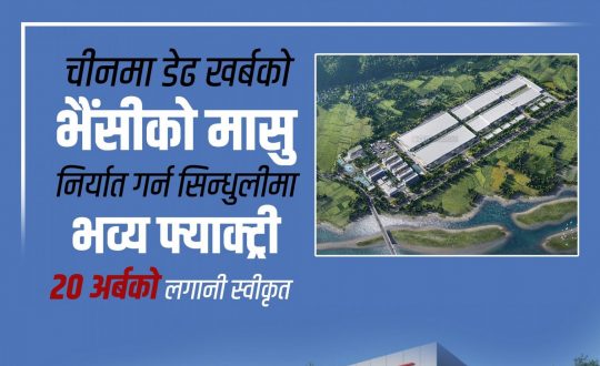 भैँसीको मासु प्रशोधनसम्बन्धी उद्योग स्थापना गर्न चिनियाँ कम्पनीलाई स्वीकृत