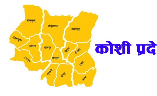 कोशी प्रदेश : चार महिनामा लैङ्गिक हिंसाका २८६ मुद्दा दर्ता