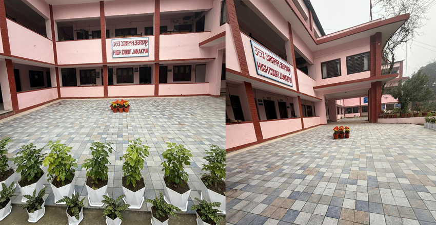 उच्च अदालत जनकपुरमा यसरी सदुपयोग गरियो लगातार तीन दिनको बिदा (फोटोफिचर)