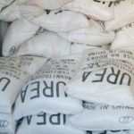 घोषणापत्रमा मलको समस्या समाधान गर्ने अठोट, तर हुँदैन कार्यान्वयन