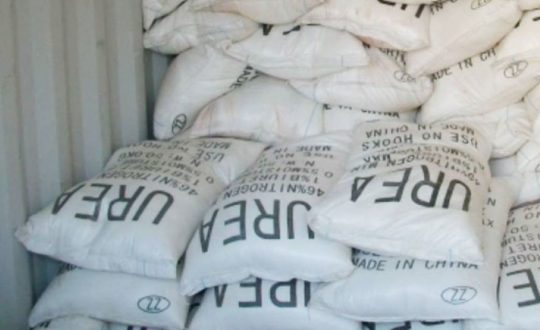 घोषणापत्रमा मलको समस्या समाधान गर्ने अटोट, तर हुँदैन कार्यान्वयन