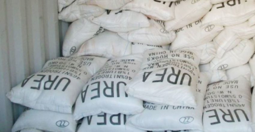 घोषणापत्रमा मलको समस्या समाधान गर्ने अठोट, तर हुँदैन कार्यान्वयन