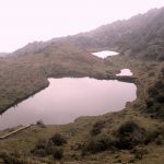 चार लेन सडक निर्माणका लागि विद्युत् पोल हटाइँदै