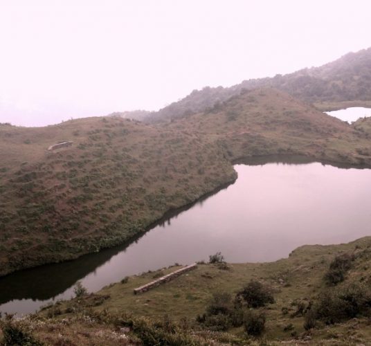 चार लेन सडक निर्माणका लागि विद्युत् पोल हटाइँदै