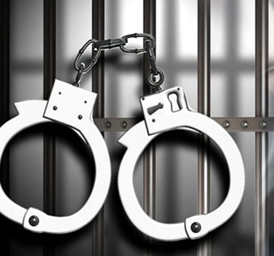 ठमेलमा अभद्र व्यवहार गरेको आरोपमा २० विदेशी महिला पक्राउ