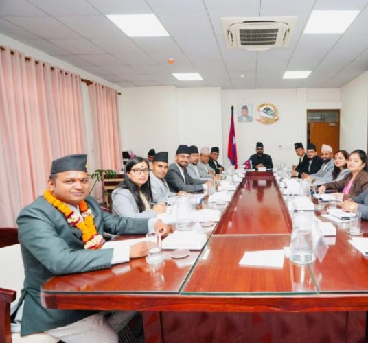 यस्ता छन् शासकीय सुधारका लागि सरकारका सय कार्ययोजना (पूर्णपाठसहित)