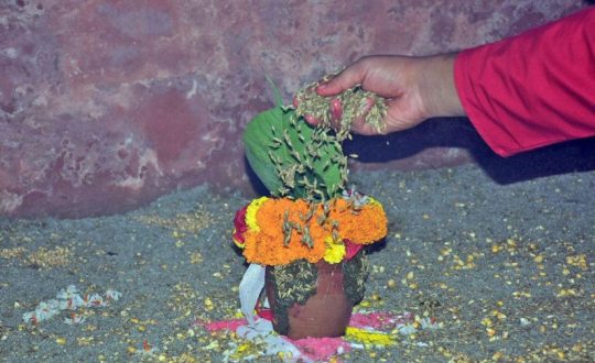 आजदेखि चैत्र दसैँको नवरात्र सुरु गरिँदै, हनुमानढोकामा घटस्थापना गरी पूजाआराधना