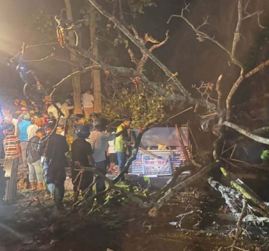 उदयपुरमा हावाहुरीका कारण २ जनाको ज्यान गयो, ५ जना घाइते