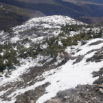 मुस्ताङमा पटकपटक हिमपात, किसान र पशुपालक व्यवसायीलाई राहत