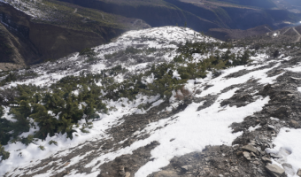 मुस्ताङमा पटकपटक हिमपात, किसान र पशुपालक व्यवसायीलाई राहत