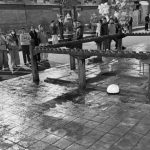 आमा भेट्न लन्डन जाने तयारीमा रहेका दाजुभाइको हत्या, हत्यामा संलग्न पक्राउ