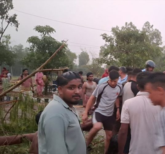 टेम्पुमाथि रुख ढल्दा दुई जनाको ज्यान गयो, तीन गम्भीर घाइते