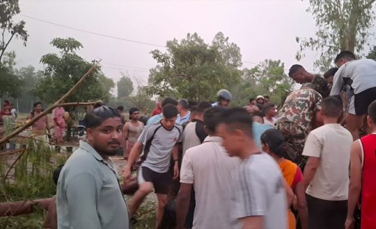 टेम्पोमाथि रुख ढल्दा दुई जनाको ज्यान गयो, तीन गम्भीर घाइते