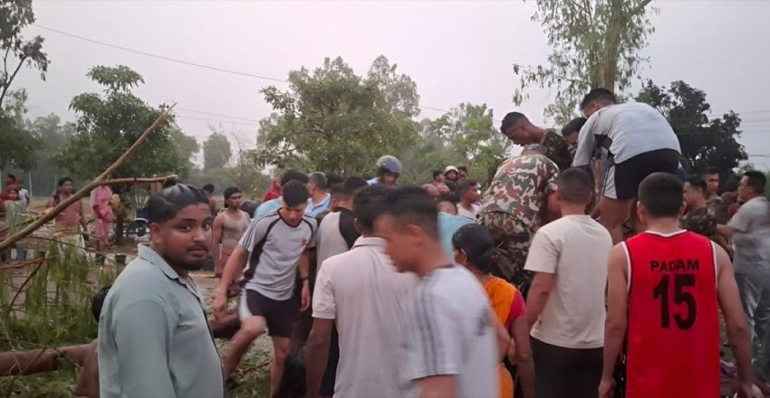 टेम्पुमाथि रुख ढल्दा दुई जनाको ज्यान गयो, तीन गम्भीर घाइते