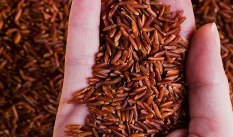 जुम्लाबाट एक वर्षमा तीन करोड बढी मूल्यको मार्सी चामल बिक्री