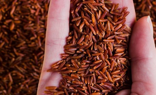 जुम्लाबाट एक वर्षमा तीन करोड बढी मूल्यको मार्सी चामल बिक्री