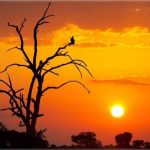 आजदेखि नयाँ वर्ष २०८३ साल सुरु, हर्षोल्लासका साथ मनाइँदै