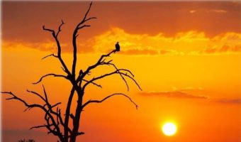 आजदेखि नयाँ वर्ष २०८३ साल सुरु, हर्षोल्लासका साथ मनाइँदै