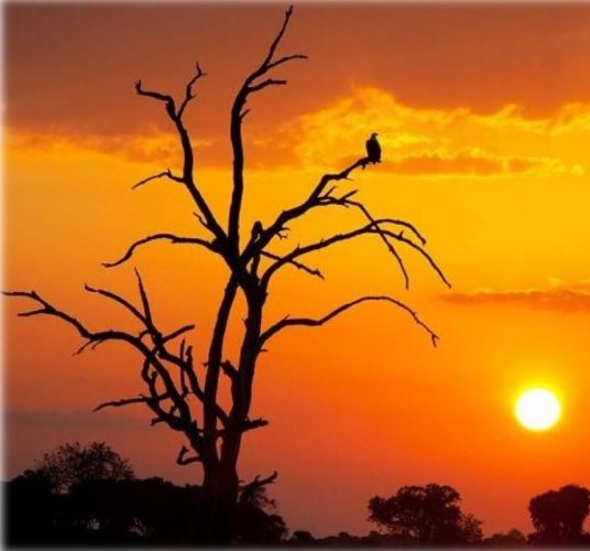 आजदेखि नयाँ वर्ष २०८३ साल सुरु, हर्षोल्लासका साथ मनाइँदै