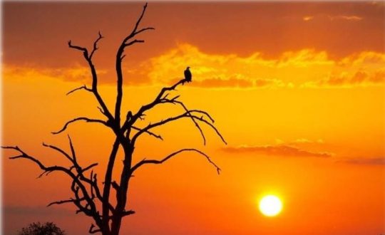 आजदेखि नयाँ वर्ष २०८३ साल सुरु, हर्षोल्लासका साथ मनाइँदै