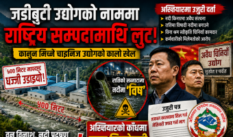 जडीबुटी प्रशोधनको आवरणमा ‘प्रकृतिको अवैध दोहन’
