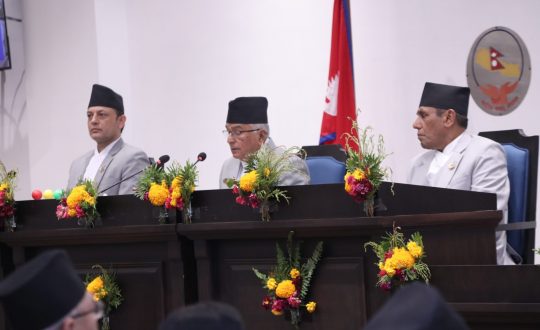 अर्थतन्त्रलाई परम्परागत स्वरूपबाट रूपान्तरण गरी ‘ज्ञान तथा सेवामुखी डिजिटल अर्थतन्त्र’ बनाउने योजना