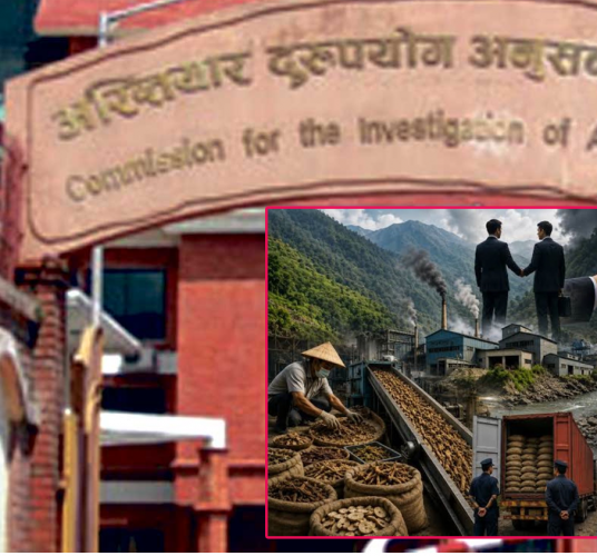 वनका अधिकारी र चिनियाँ सञ्चालकविरुद्ध साढे चार करोड राजस्व हिनामिनाको उजुरी, अकुत सम्पत्ति छानिबनको माग