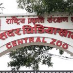 जावलाखेल चिडियाखानाका प्रमुखमाथि छानबिन थालियो, बर्ड फ्लु सङ्क्रमणको सूचना लुकाएको आरोप