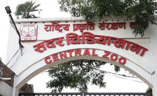 जावलाखेल चिडियाखानाका प्रमुखमाथि छानबिन थालियो, बर्ड फ्लु सङ्क्रमणको सूचना लुकाएको आरोप