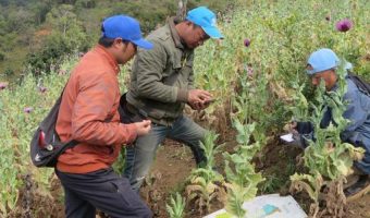 लागुऔषध दुरुपयोग तथा अवैध ओसारपसारविरुद्धको अन्तरराष्ट्रिय दिवस आज