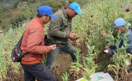लागुऔषध दुरुपयोग तथा अवैध ओसारपसारविरुद्धको अन्तरराष्ट्रिय दिवस आज