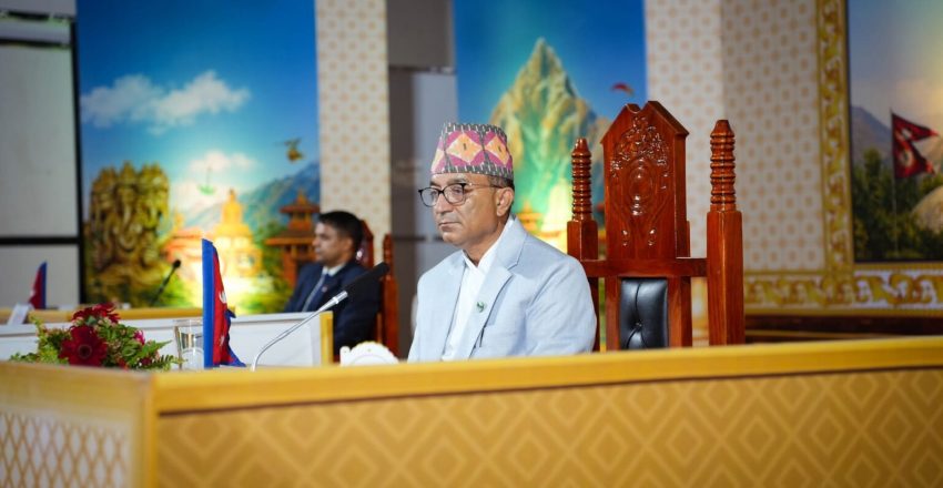 ३३ विशेष अभियानसहित पोखरा महानगरको वार्षिक नीति तथा कार्यक्रम सार्वजनिक