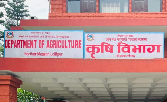 के हो ५८ स्थानीय तहमा सञ्चालन गरिएको ‘स्रोत बीउ उत्पादन कार्यक्रम’ ?