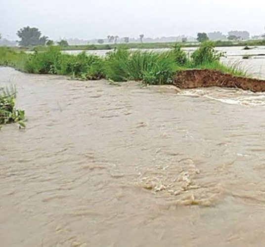 मुलुकका ४४ जिल्लामा बाढीको जोखिम, साना नदीमा आकस्मिक बाढीको सम्भावना