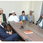 झमेलामा फस्ने गरी पार्टी एकता हुँदैन : एमाले अध्यक्ष ओली